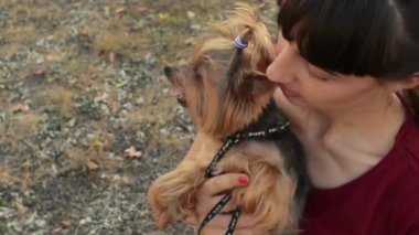 Gülümseyen beyaz kız ve küçük köpek yorkshire terrier açık havada poz closeup çekim.