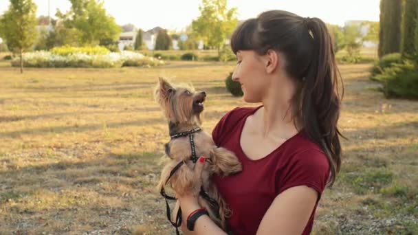 Alegre chica caucásica y pequeño perro Yorkshire terrier posando al aire libre en el parque . — Vídeos de Stock