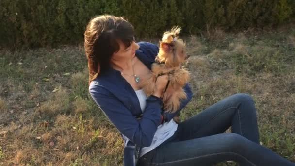 Linda chica y adorable perro Yorkshire terrier sentado al aire libre al atardecer en el parque de otoño . — Vídeos de Stock