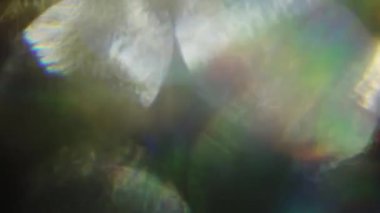 Festival holografik arka plan, yaratıcı video geçişleri.