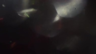 Fütüristik ışık mor tonlarda sızdırıyor. Renkli ışık hareketli kaçakları için bindirme etkileri.