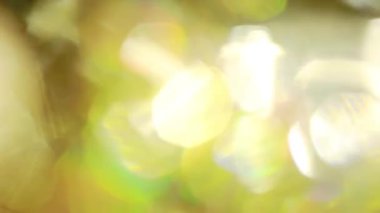 Sıcak renkli holografik bokeh. İçin kullanılan profesyonel ruh projenize eklemek.