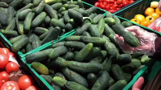 Female hand picking cucumbers in market. Closeup concept of selection and buying fruit or green vegetable. — Stock Video