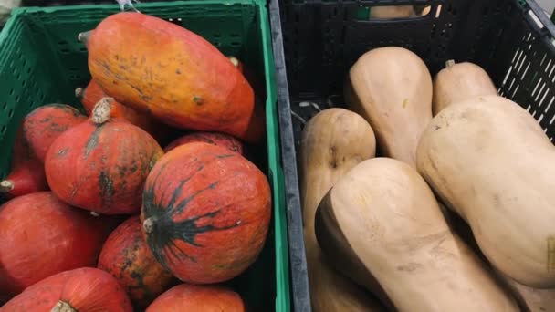 一堆新鲜的南瓜在一个盒子在市场上. — 图库视频影像