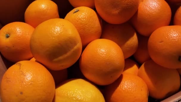 Naranjas frescas en las cajas de cartón del departamento de comestibles del supermercado . — Vídeos de Stock