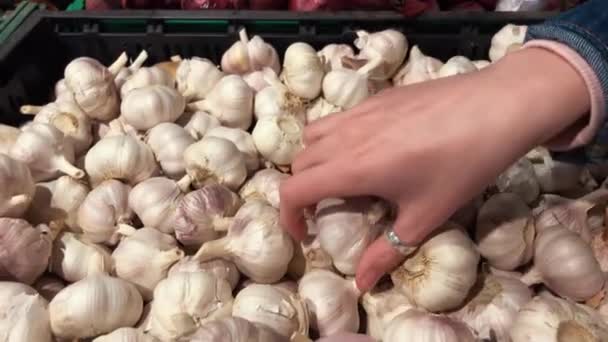 Žena si vybírá česnek v trhu s potravinami. Detailní záběr. — Stock video
