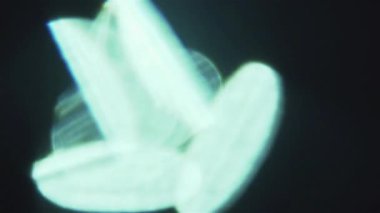 Fütüristik arka plan, holografik folyo yansımaları.