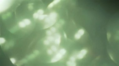 Ağır çekim shot lüks renkli folyo ışık yansımaları defocused.