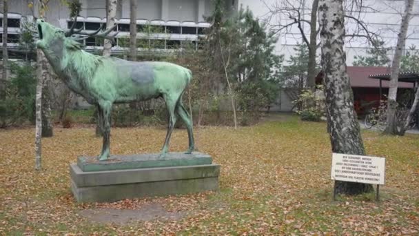 Berlin, Almanya - 23 Kasım 2018: Büyük heykel 1906 yılında Josef Pallenberg tarafından oluşturulan kükreyen geyik. — Stok video