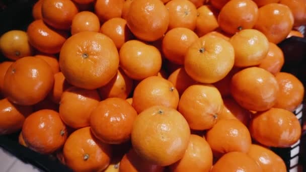Gedetailleerde shot van een vers geplukte oranje mandarijnen in de afdeling van de supermarkt van de biologische supermarkt. — Stockvideo