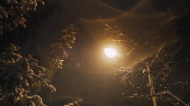 Akşam parlayan fener kış Park. Noel için güzel kar yağışı. Sihirli şehir içinde kar üzerinde kar taneleri kalmaktadır.