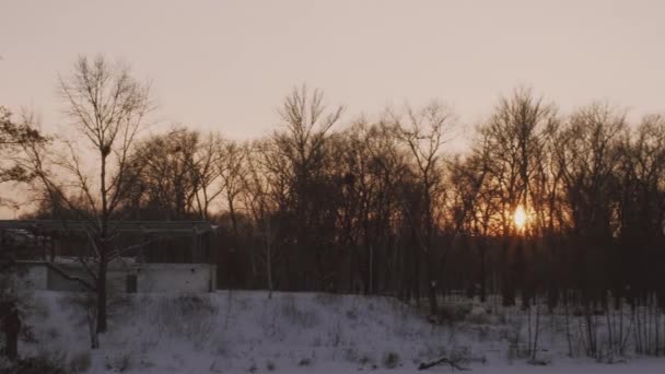 Abends, Sonnenuntergang in einem Winterpark. sanftes Schwenken. — Stockvideo