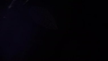 Karanlık bir arka plan üzerine altın düşünceler ile mavi tonları ışıltı.