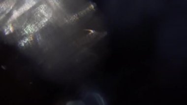 Bulanık hafif parçacıkların kendiliğinden hareket. Karanlıkta parlamayı kaotik titrek.