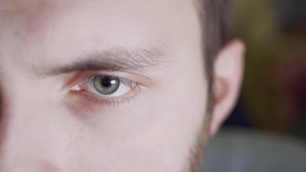 Mannelijke, grijze ogen. Een moe freelancer frowns, knippert, de pupil vergroot en vernauwt. — Stockvideo