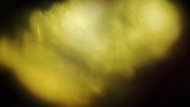 Dromerige abstracte gouden licht pulsen en gloed in de donkere, warme tint. — Stockvideo