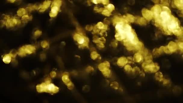 Gouden deeltjes, warme hoogtepunten op een donkere achtergrond. — Stockvideo