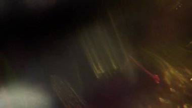 Hareketli yanardöner bokeh, spektral fütüristik renkler, holografik caleidoscope. Fütüristik neon renkler.