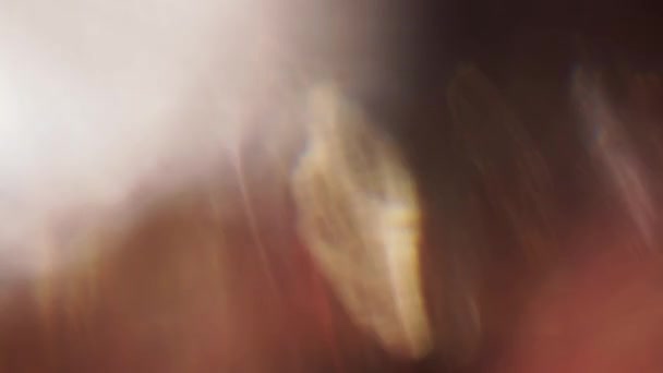 distorsions irisées futuristes, fuites de lumière holographique, superpositions .