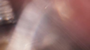 Hareket holografik arka plan, yanardöner psychedelic etkisi karışımı, ProRes.