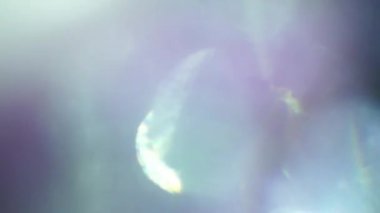 Lüks soyut ışık sızıntıları, retro bokeh, loopable, geçişler, bindirme, gerçeküstü hareket yüzey.