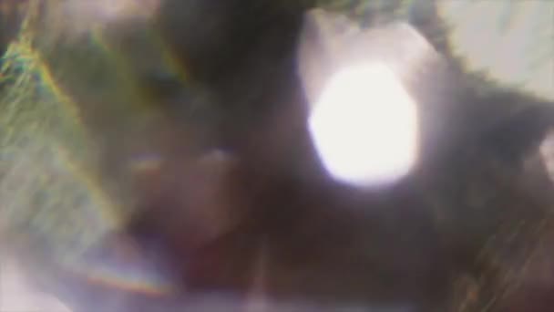 Jeu abstrait irisé de lumières, bokeh moderne, transitions, boucle .