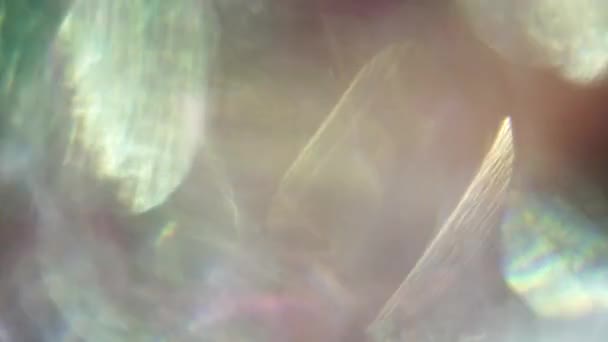 Fuites de lumière abstraites multicolores, bokeh déconcentré, transitions, superposition, boucle, surface de mouvement surréaliste .