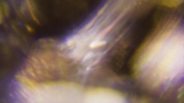 Modern arka plan, neon renkli ışık sızıntıları.