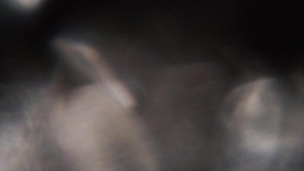 Résumé fond multicolore, transitions colorées néon, plan au ralenti .