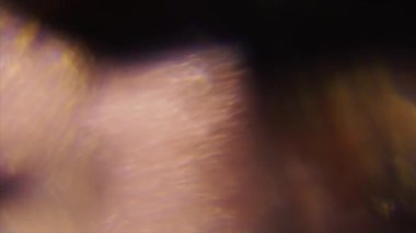 Psychedelic lüks arka plan, holografik yanardöner bindirmeleri, kamaşma, bokeh, geçişler.