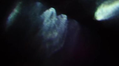 Holografik doğal arka plan, polykrom renkler bokeh. Distorsiyonları, ışık sızıntıları, video geçişler, Glares.