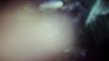 Yanardöner doğal arka plan, karışık renkler bokeh. Video geçişleri, Glares, ışık sızıntıları, deformeler.