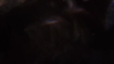 Defocused hareket arka plan, karışık renkler bokeh. Glares, Distortions, video geçişler, ışık sızıntıları. ProRes görüntüleri.