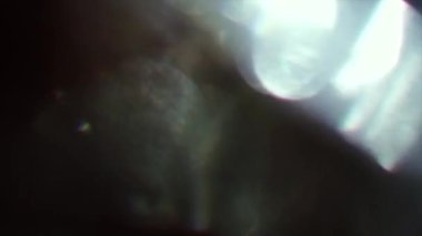 Holografik yanardöner arka plan, polykrom renkler bokeh.