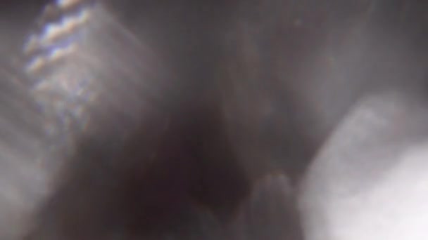 Multicolore fond de mouvement irisé, transitions, bokeh doux . 