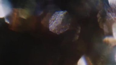 Psychedelic renkli bokeh karanlıkta parlayan. 