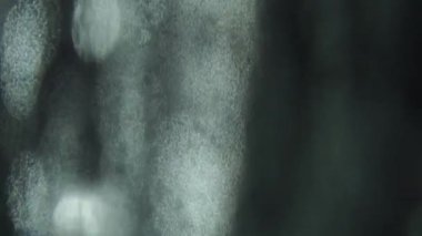 Psychedelic doğal bokeh, ışık sızıntıları darbeler ve parıltılar, yaratıcı arka plan.