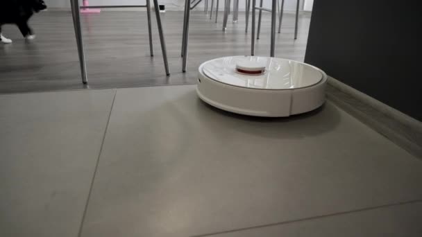 Современный роботизированный пылесос чистит пол на кухне . — стоковое видео