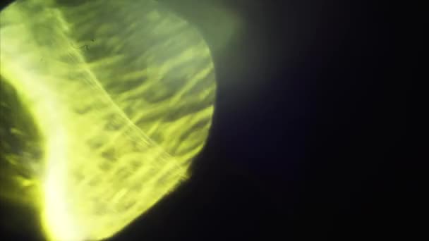 Geel gekleurde bokeh Sci-Fi elegante glinsterende achtergrond. — Stockvideo