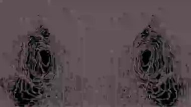 Projenin herhangi bir akrabası için iyi.