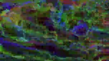 Renkli kötü tv taklit ışık sızıntıları pırıl pırıl arka plan. 