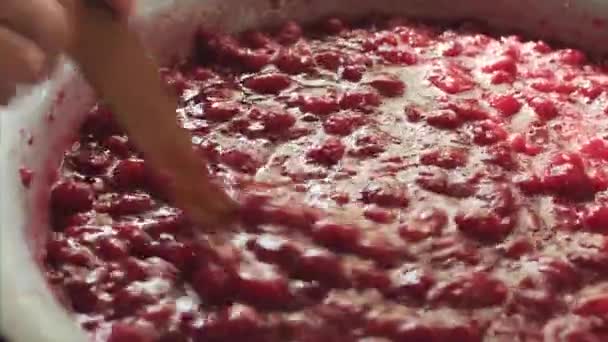 Femme brassant de la confiture de framboise dans un bol émaillé avec une spatule en bois . — Video