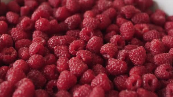 Pan shot of a Fresh organic raspberry berries. Close up shot. — Stock Video