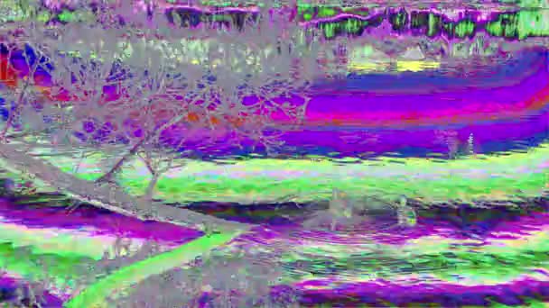 환각 무지개 빛깔의 오리는 호수에서 수영. — 비디오