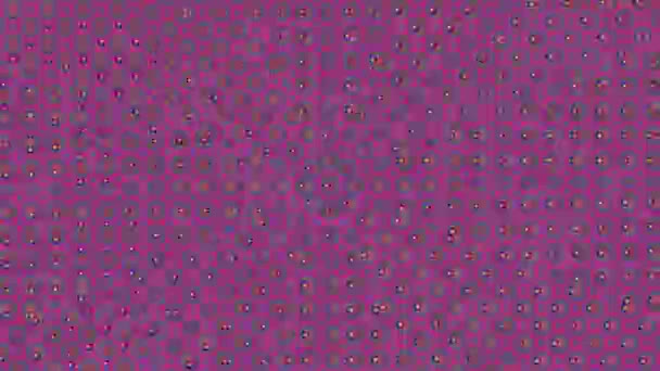 멀티 컬러 패턴 빛 변환 홀로그램 배경. — 비디오