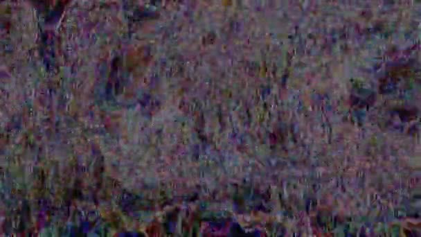 Glitch data mosh abstrato colorido fundo digital . — Vídeo de Stock