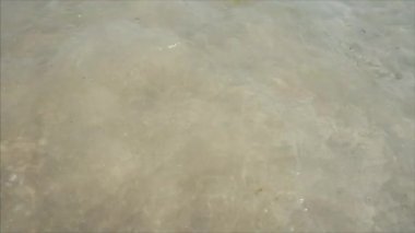 Güzel kumlu Karadeniz sahilinde gelgit dalgası. 