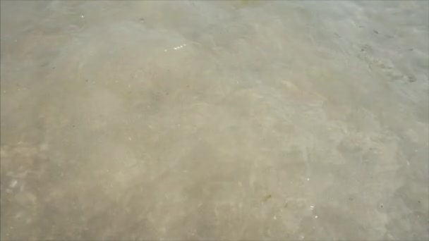 Přílivová vlna na nádherné písečné pláži Černého moře. — Stock video