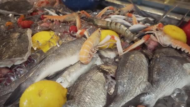 Frische Meeresfrüchte, verschiedene Meeresfische, Garnelen und Gemüse in Eis, das auf einer Vitrine im Restaurant verkauft wird. — Stockvideo