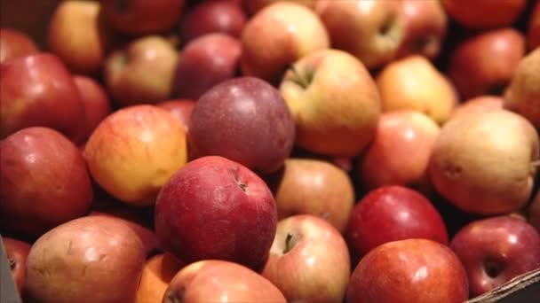 Un montón de manzanas rojas maduras jugosas orgánicas en una caja, departamento de supermercados . — Vídeos de Stock